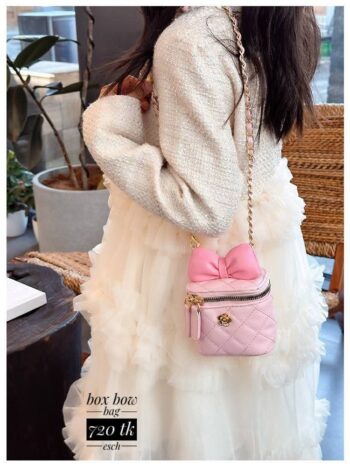 box bow bag